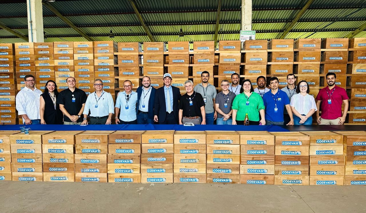 Maior entrega de colmeias do Piauí deve gerar aporte de 500 toneladas-ano de mel 3.jpeg