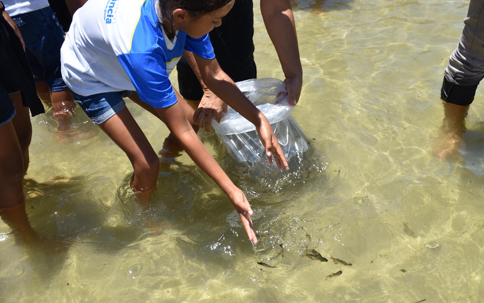 Peixamentos contribuem para desenvolvimento da Lagoa dos Tambaquis, em Sergipe 3.JPG
