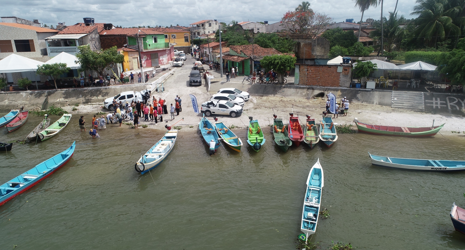 Peixamentos inserem espécies nativas no rio São Francisco em Piaçabuçu e Porto Real do Colégio, em Alagoas 2.JPG