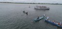 Peixamentos inserem espécies nativas no rio São Francisco em Piaçabuçu e Porto Real do Colégio, em Alagoas