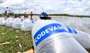 Peixamentos soltam 350 mil alevinos de espécies nativas do São Francisco em Sergipe