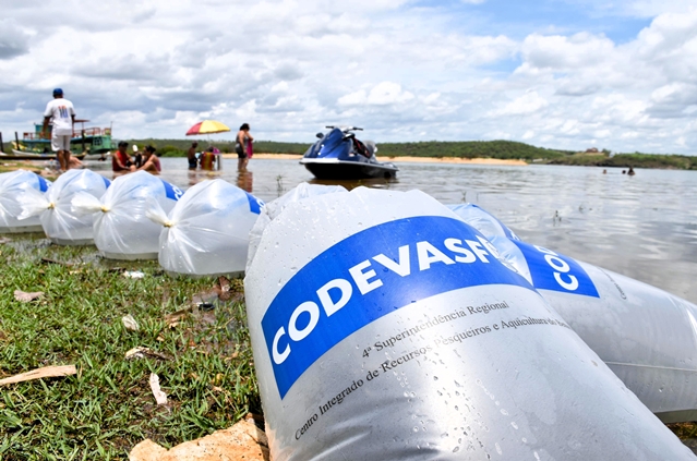 Peixamentos soltam 350 mil alevinos de espécies nativas do São Francisco em Sergipe_Capa.JPG