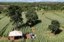 dIA DE cAMPO mg