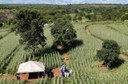 dIA DE cAMPO mg