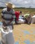 Alagoas ARROZ 02