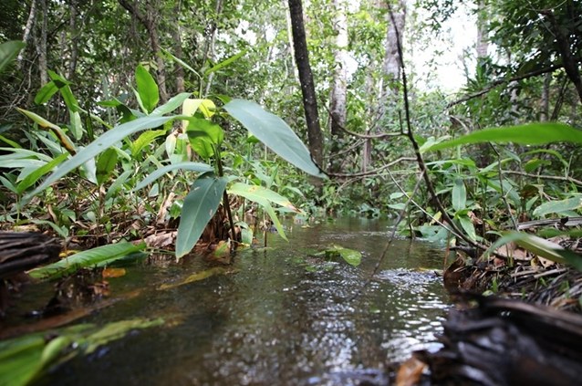 Rio Balsas, no Maranhão: Codevasf cataloga cerca de 50 nascentes no principal afluente do Parnaíba